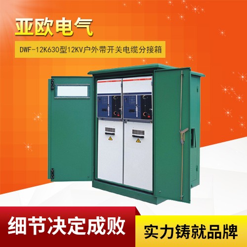 DWF-12k630型12Kv戶(hù)外帶開(kāi)關(guān)電纜分接箱