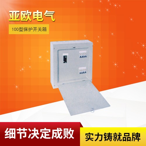 100型保護(hù)開(kāi)關(guān)箱